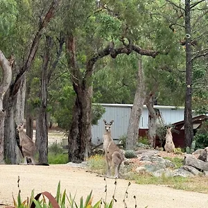31 The Rocks Stanthorpe